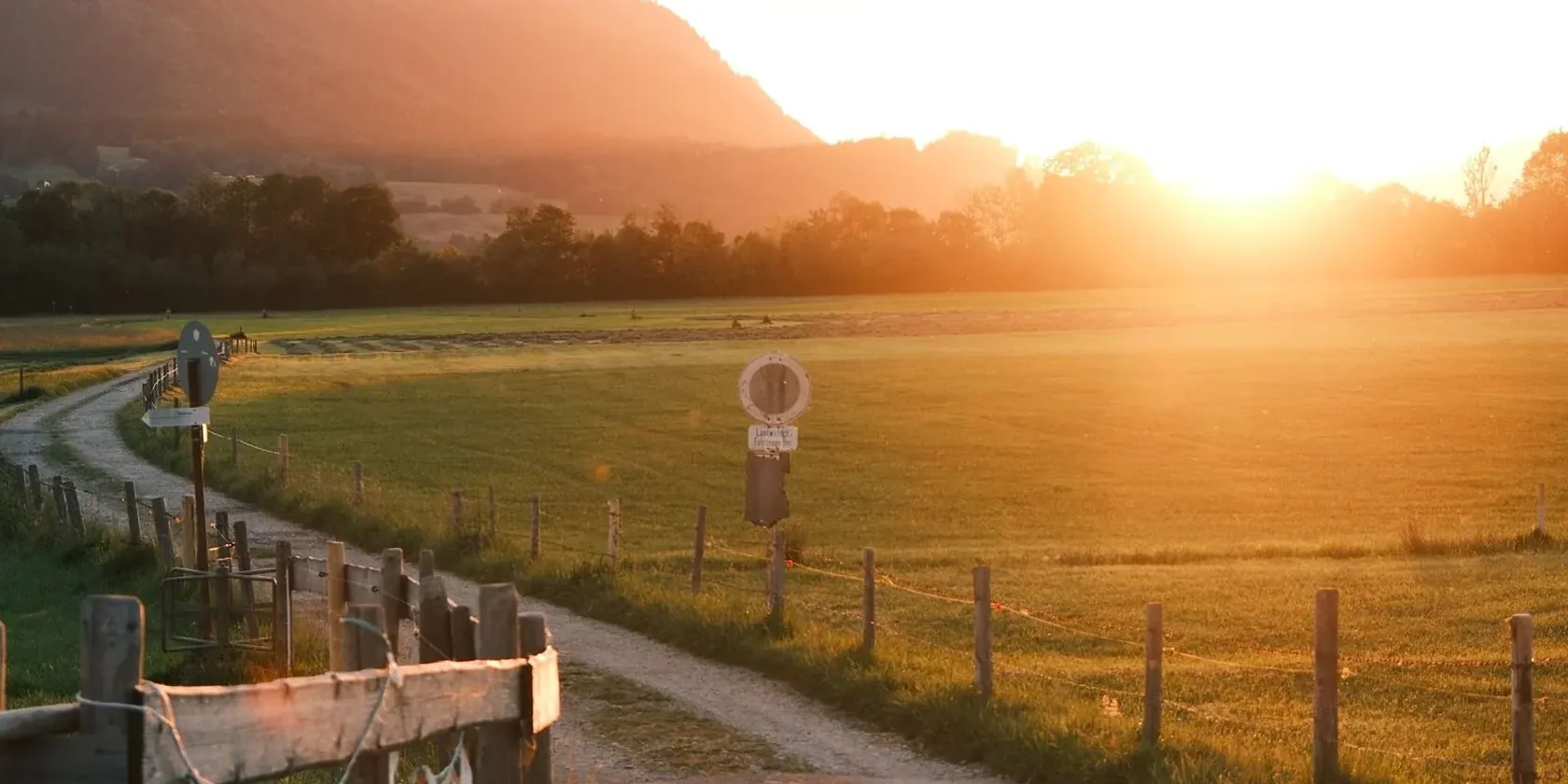 Dos senderos uniéndose bajo un atardecer cálido